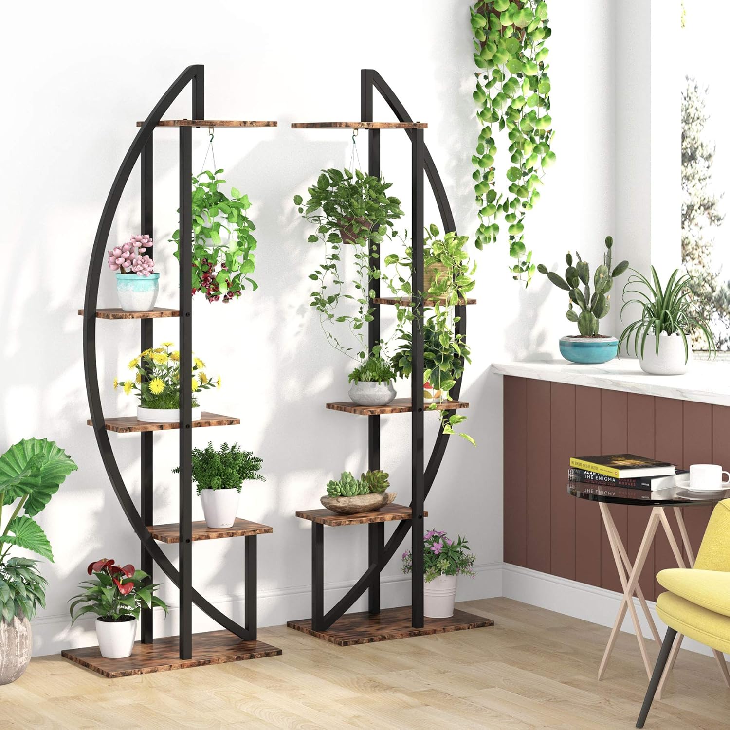 5-Tier Plant Stand Pack of 2,  - Bonsai Garden Display Stands reseña y precio