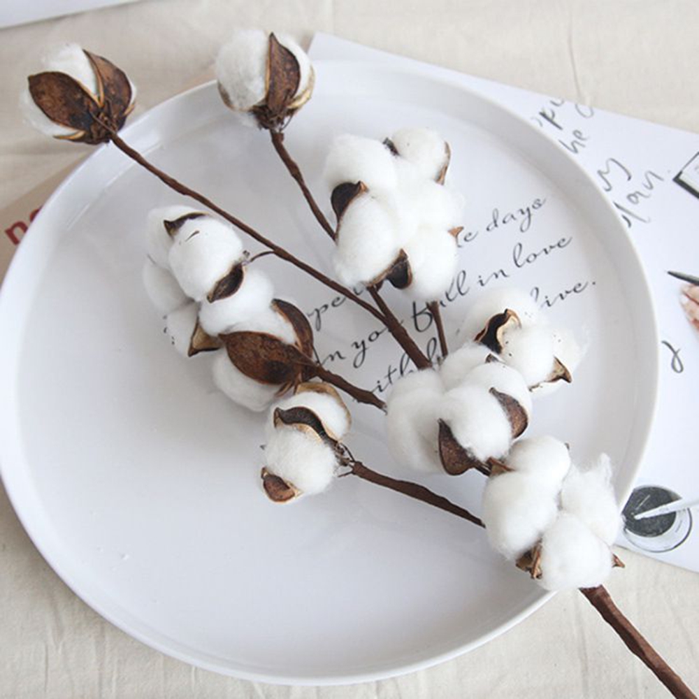Naturally Cotton Artificial Pl - Bonsai Garden Festival reseña y precio