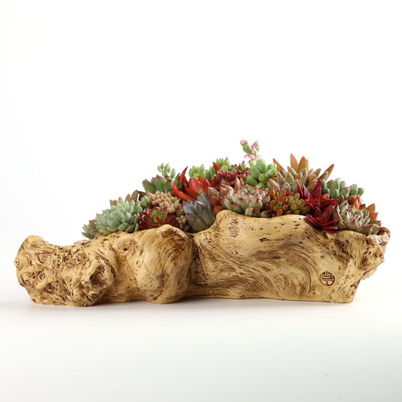 Pastoral Retro Landscape Flowe - Bonsai Tree Zen Garden reseña y precio