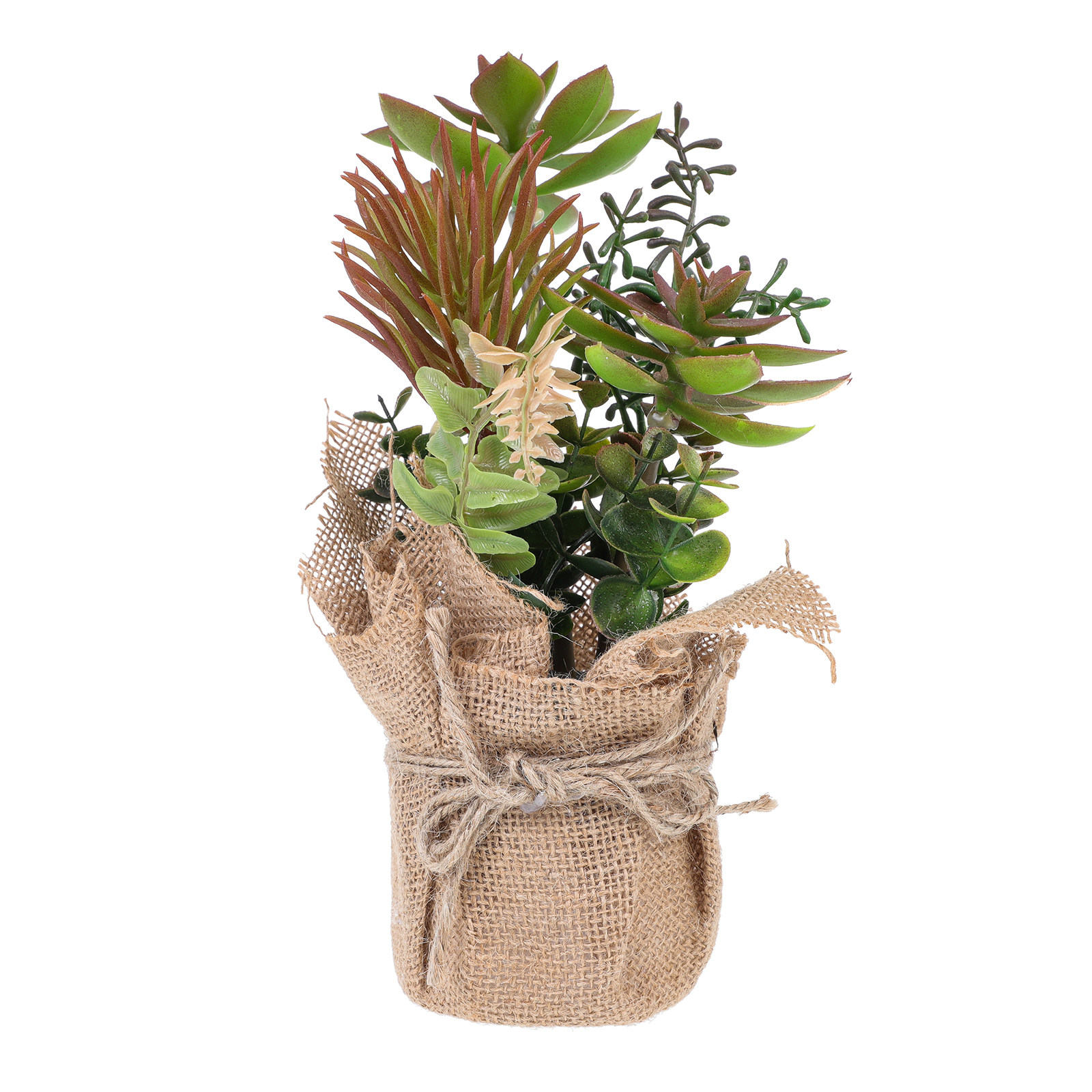 Premium Plastic Artificial Suc - Bonsai Garden Shop reseña y precio