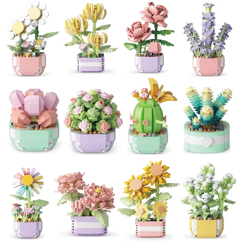 Flower Succulents Building Blo - Bonsai Garden Kit reseña y precio