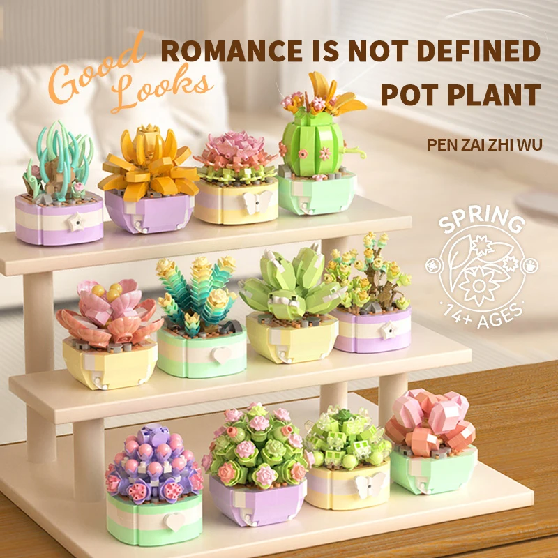 Flower Succulents Building Blo - Bonsai Garden Kit reseña y precio