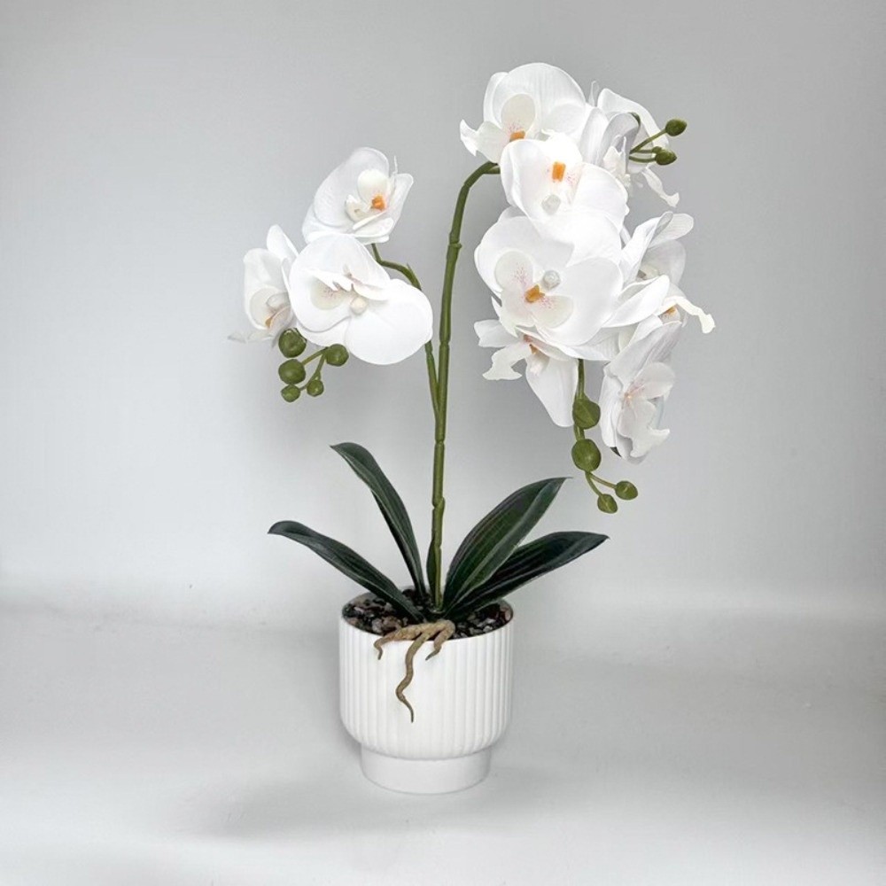 Multi-Bloom Simulated Butterfl - Bonsai Garden Kit reseña y precio