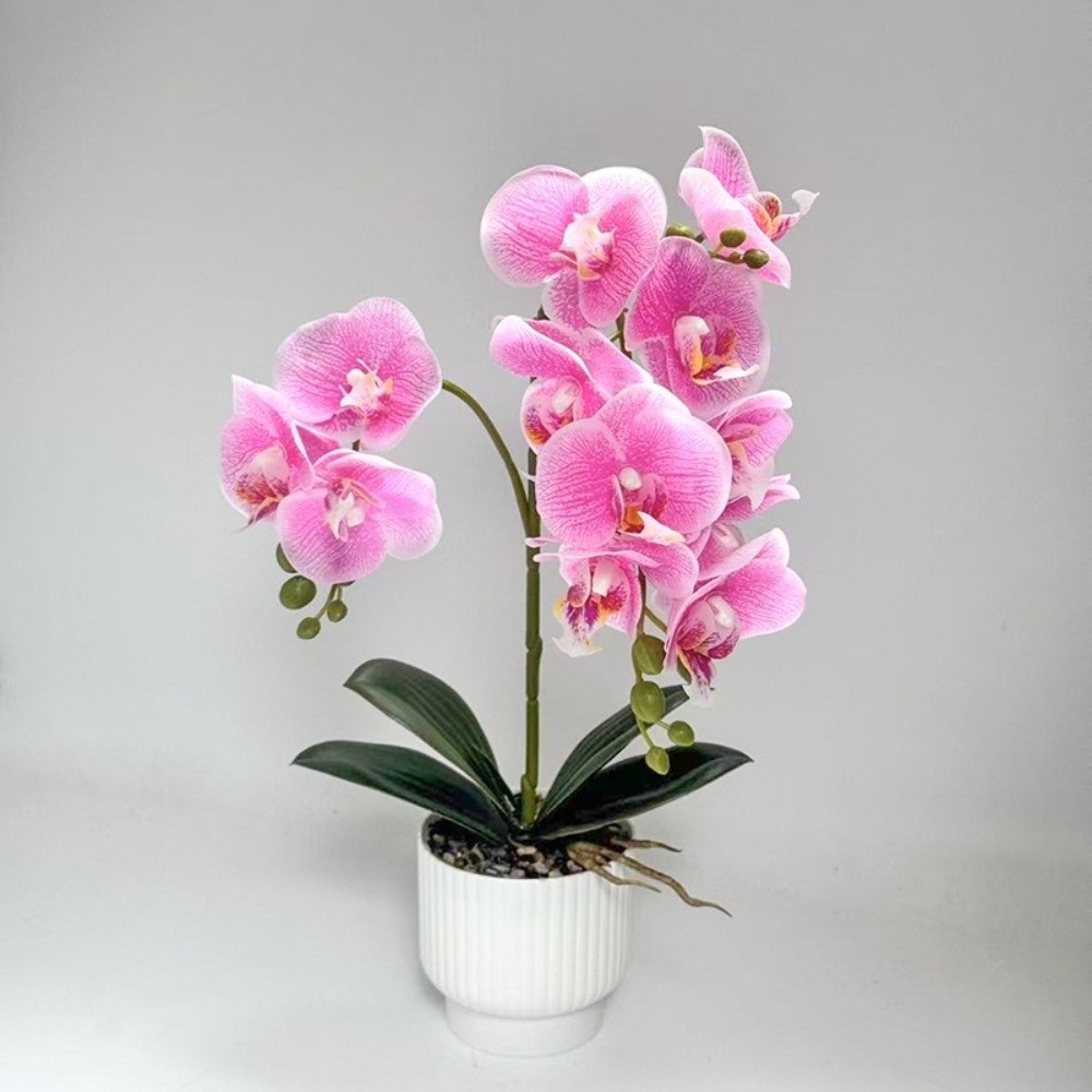 Multi-Bloom Simulated Butterfl - Bonsai Garden Kit reseña y precio