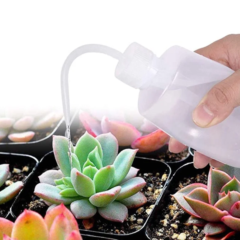 13Pcs Garden Planter Kit DIY S - Bonsai Garden Kit reseña y precio