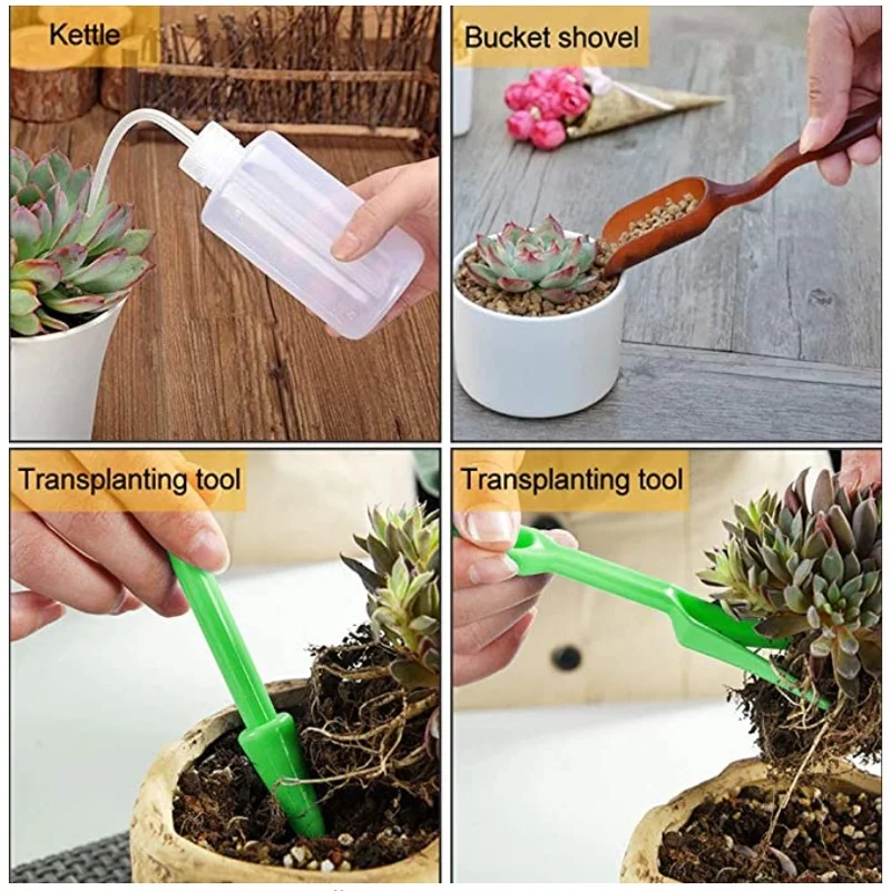 13Pcs Garden Planter Kit DIY S - Bonsai Garden Kit reseña y precio
