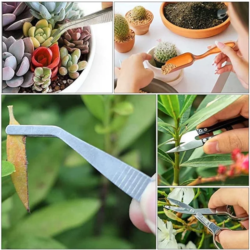 13Pcs Garden Planter Kit DIY S - Bonsai Garden Kit reseña y precio