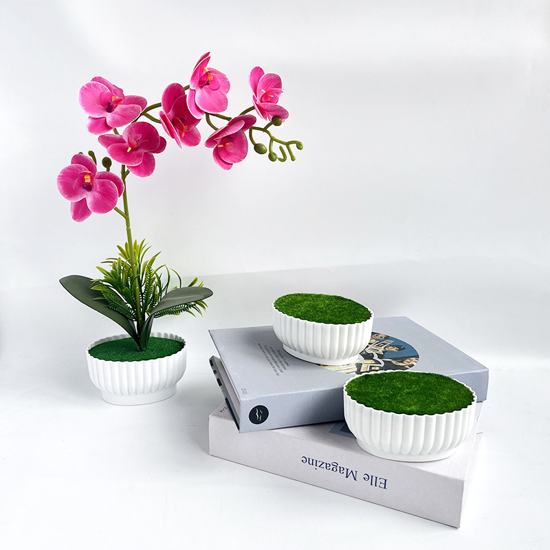 Corrosion resistant injection  - Bonsai Garden Shop reseña y precio