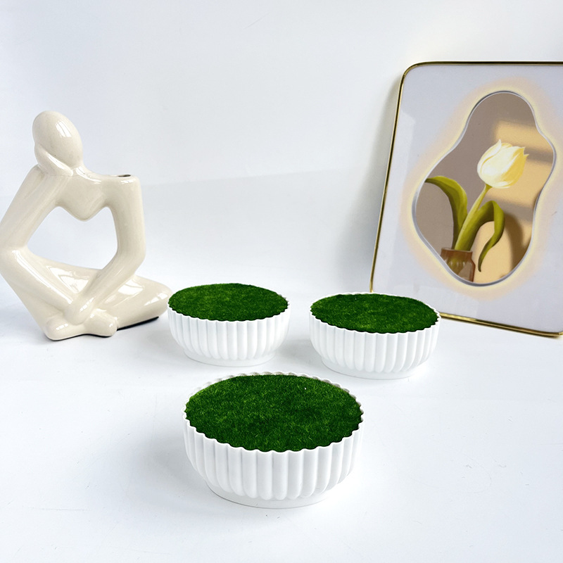Corrosion resistant injection  - Bonsai Garden Shop reseña y precio