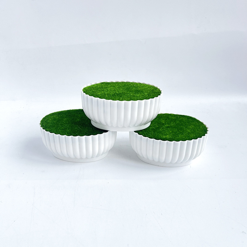 Corrosion resistant injection  - Bonsai Garden Shop reseña y precio