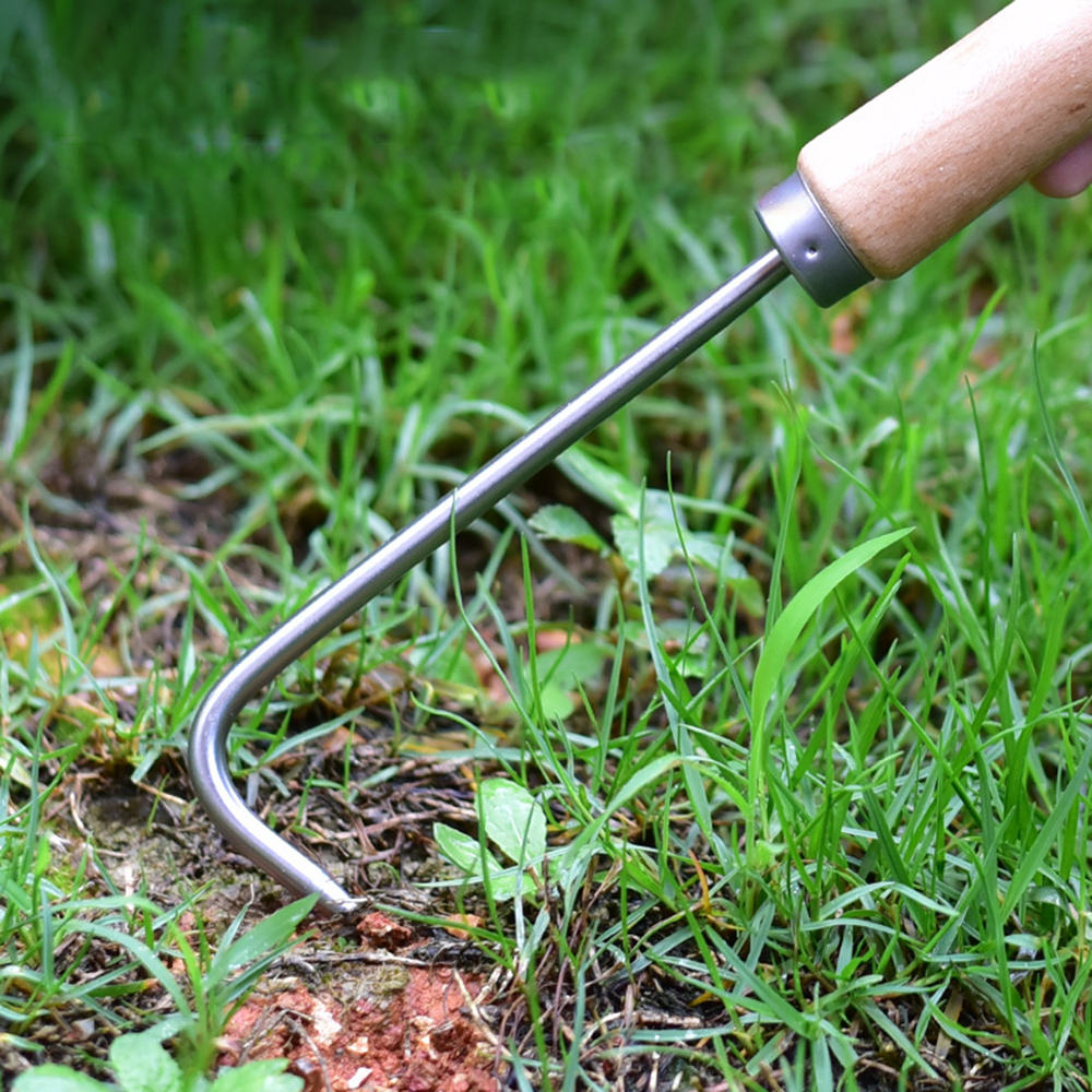 1PC Single Claw Hook Soil Loos - Root Hook Tool reseña y precio