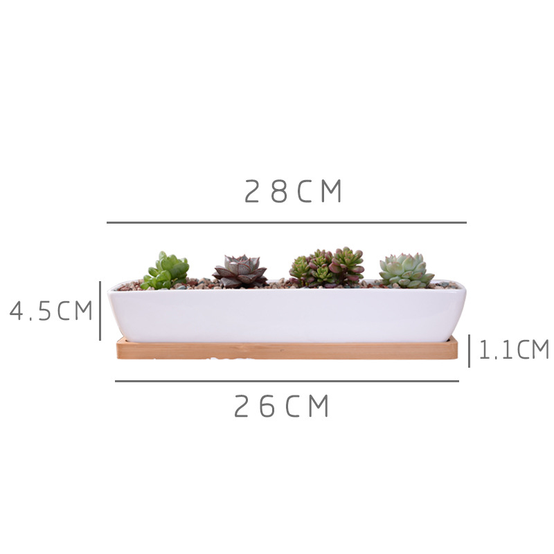 Long Rectangle White Ceramic S - Bonsai Tree Zen Garden reseña y precio