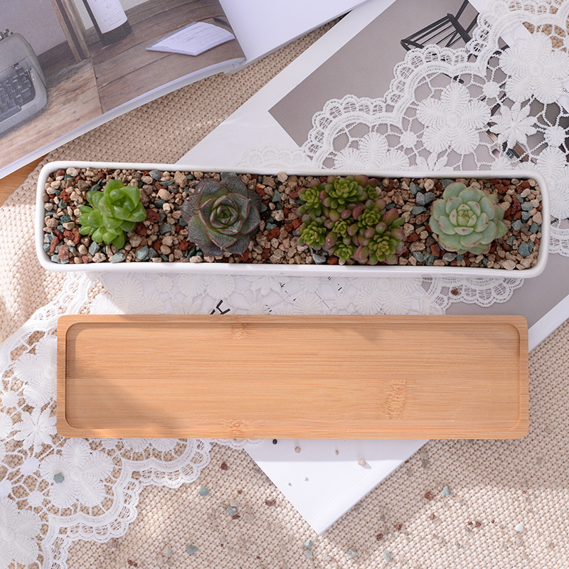 Long Rectangle White Ceramic S - Bonsai Tree Zen Garden reseña y precio