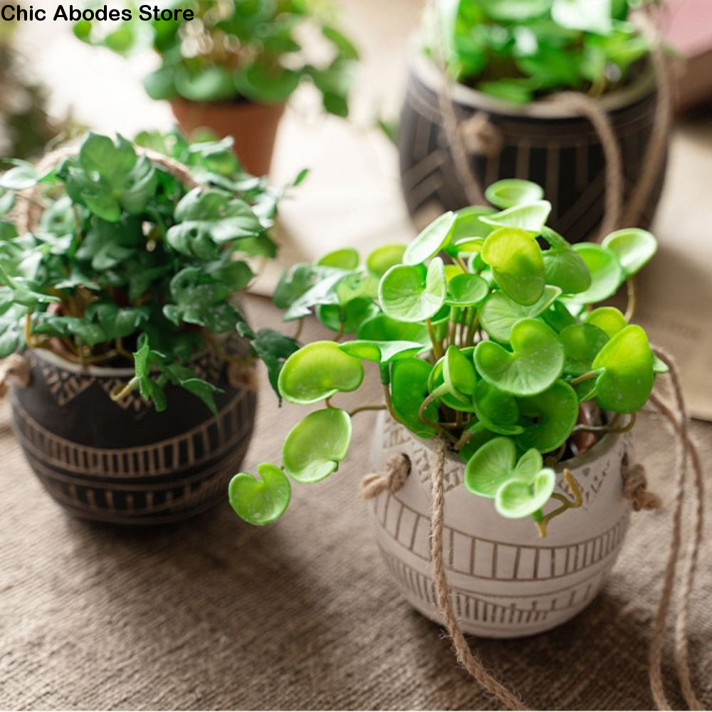 Green Garden Home Shop for Win - Bonsai Garden Shop reseña y precio