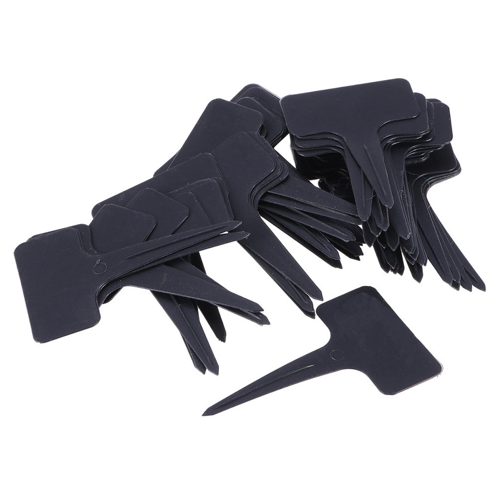 200Pcs T Shaped Plastic Plant  - Bonsai Garden Shop reseña y precio