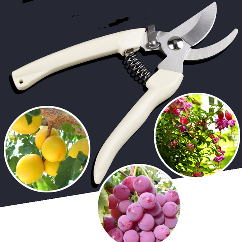 Pruner Orchard and The Garden  - Us Bonsai Garden reseña y precio