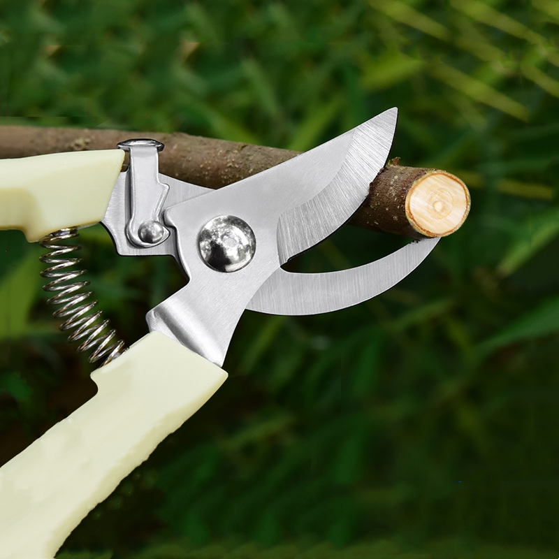 Pruner Orchard and The Garden  - Us Bonsai Garden reseña y precio