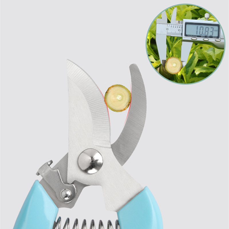 Pruner Orchard and The Garden  - Us Bonsai Garden reseña y precio