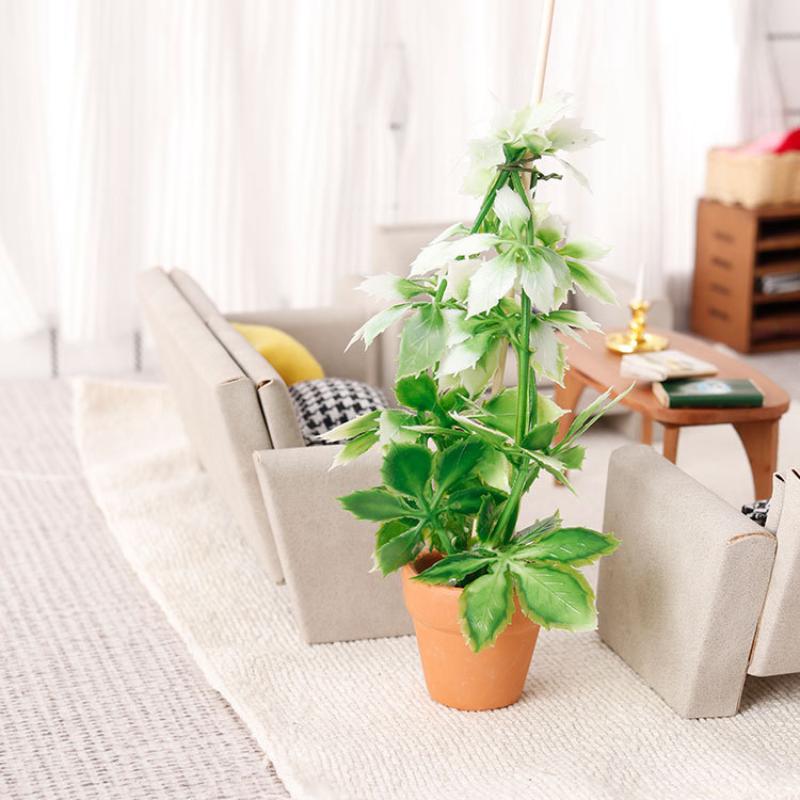 1/12 Dollhouse Simulation Gree - Us Bonsai Garden reseña y precio