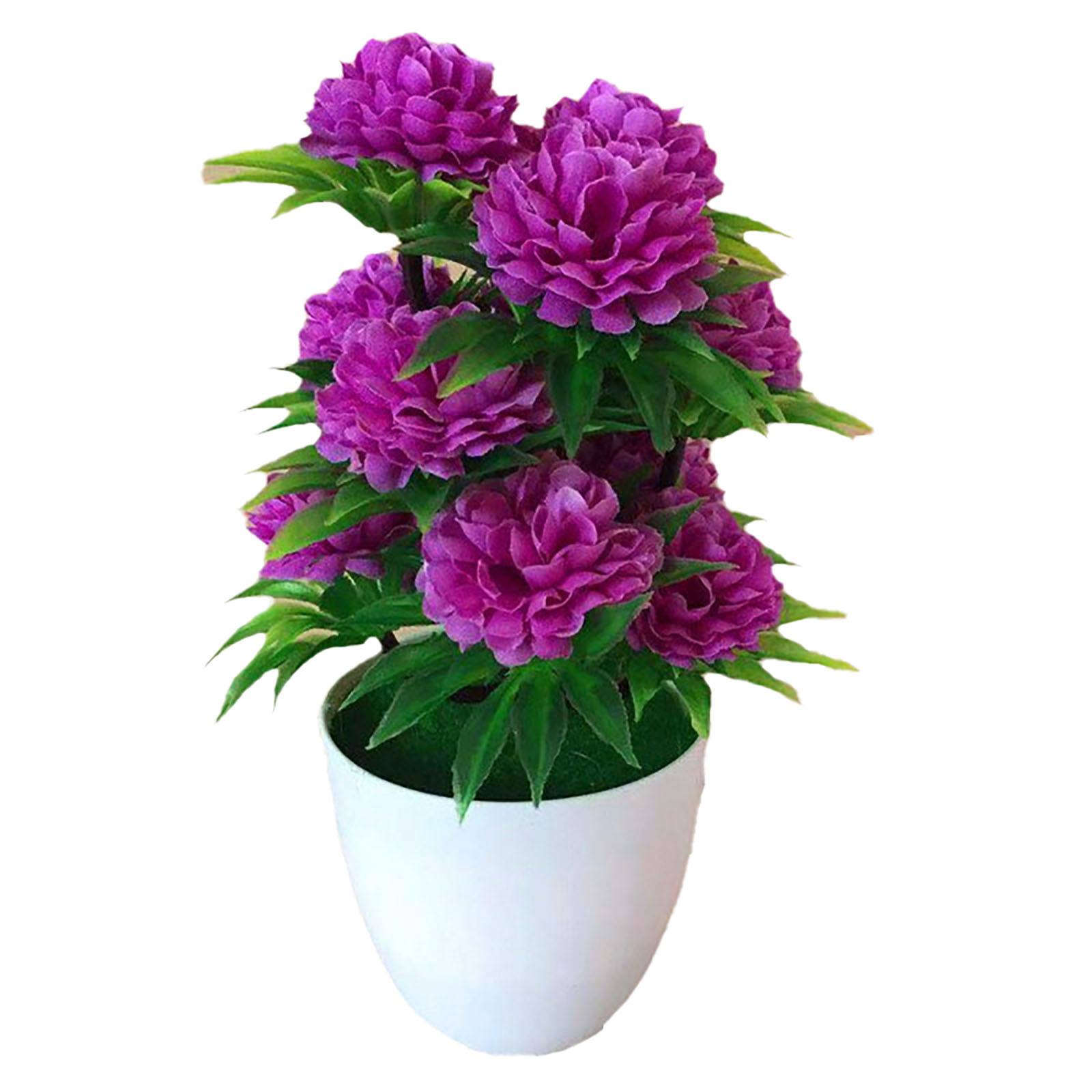 Beautiful Decoration Stylish A - Bonsai Garden Shop reseña y precio
