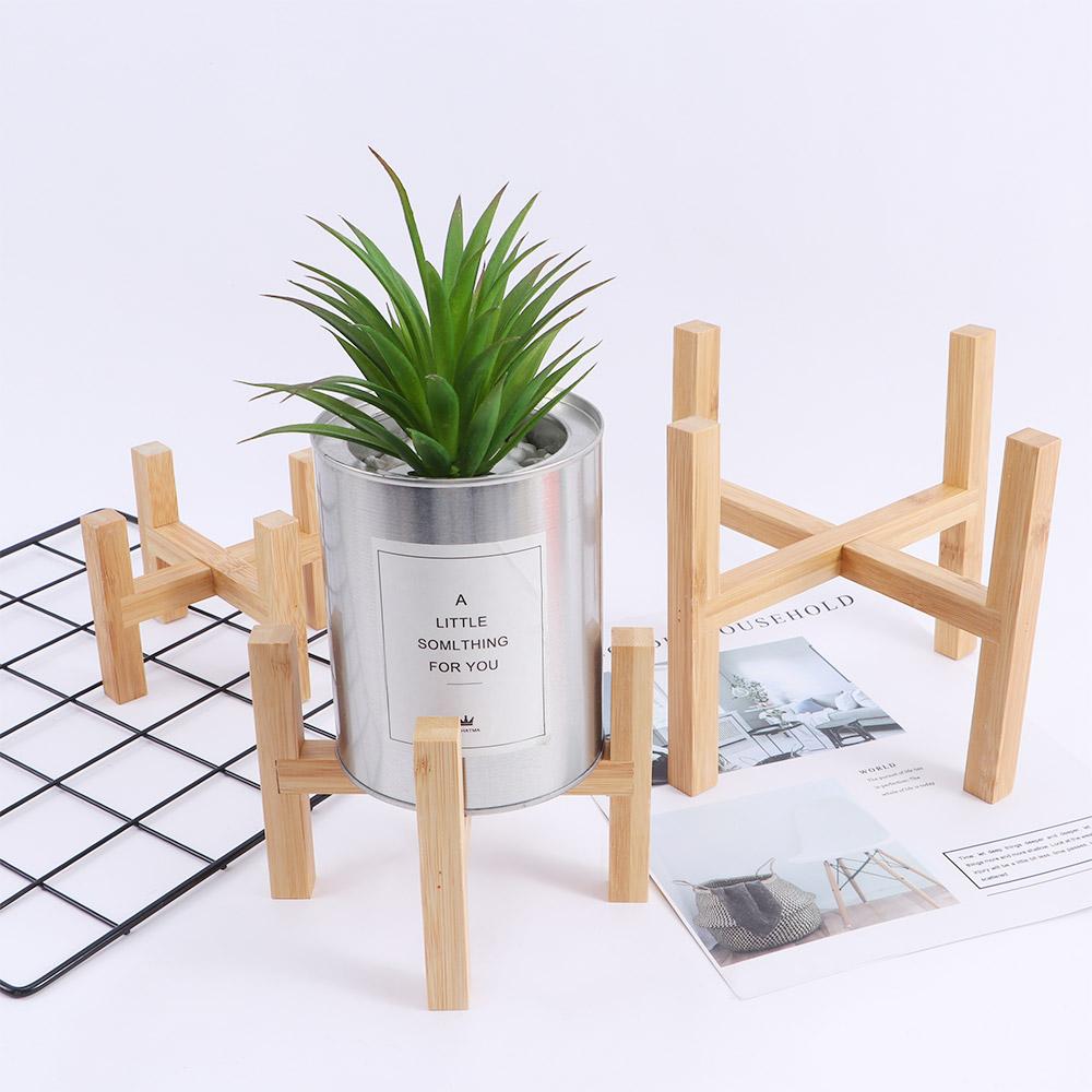Durable Indoor Display Garden  - Bonsai Garden Display Stands reseña y precio