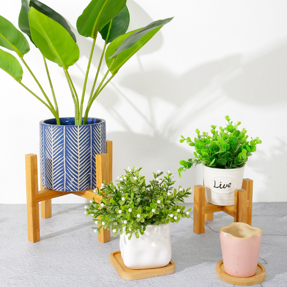 Durable Indoor Display Garden  - Bonsai Garden Display Stands reseña y precio
