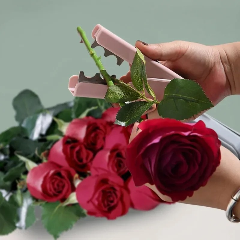 Rose Thorn Remover, Flower Tho - Bonsai Garden Shop reseña y precio