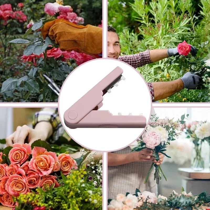 Rose Thorn Remover, Flower Tho - Bonsai Garden Shop reseña y precio