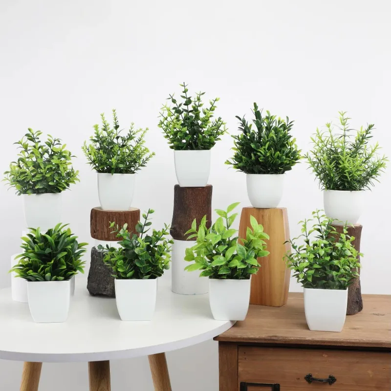 Wholesale OEM/ODM Artificial M - Bonsai Garden Kit reseña y precio