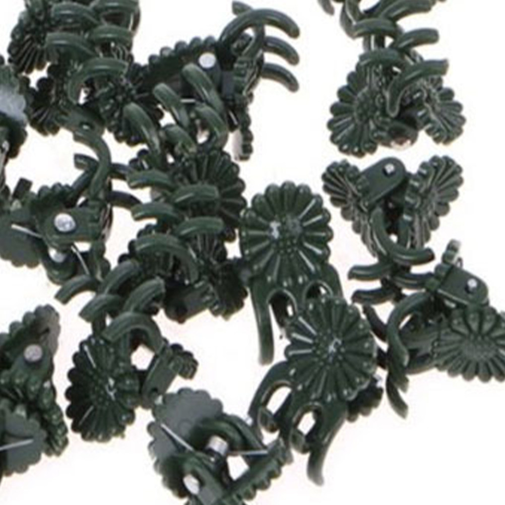100Pcs Ladybug Shaped Orchid C - Us Bonsai Garden reseña y precio