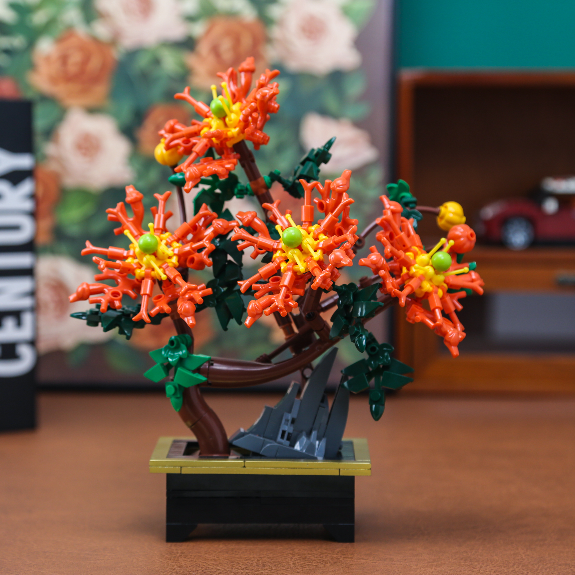 Dragon Claw Chrysanthemum Bons - Bonsai Garden Kit reseña y precio