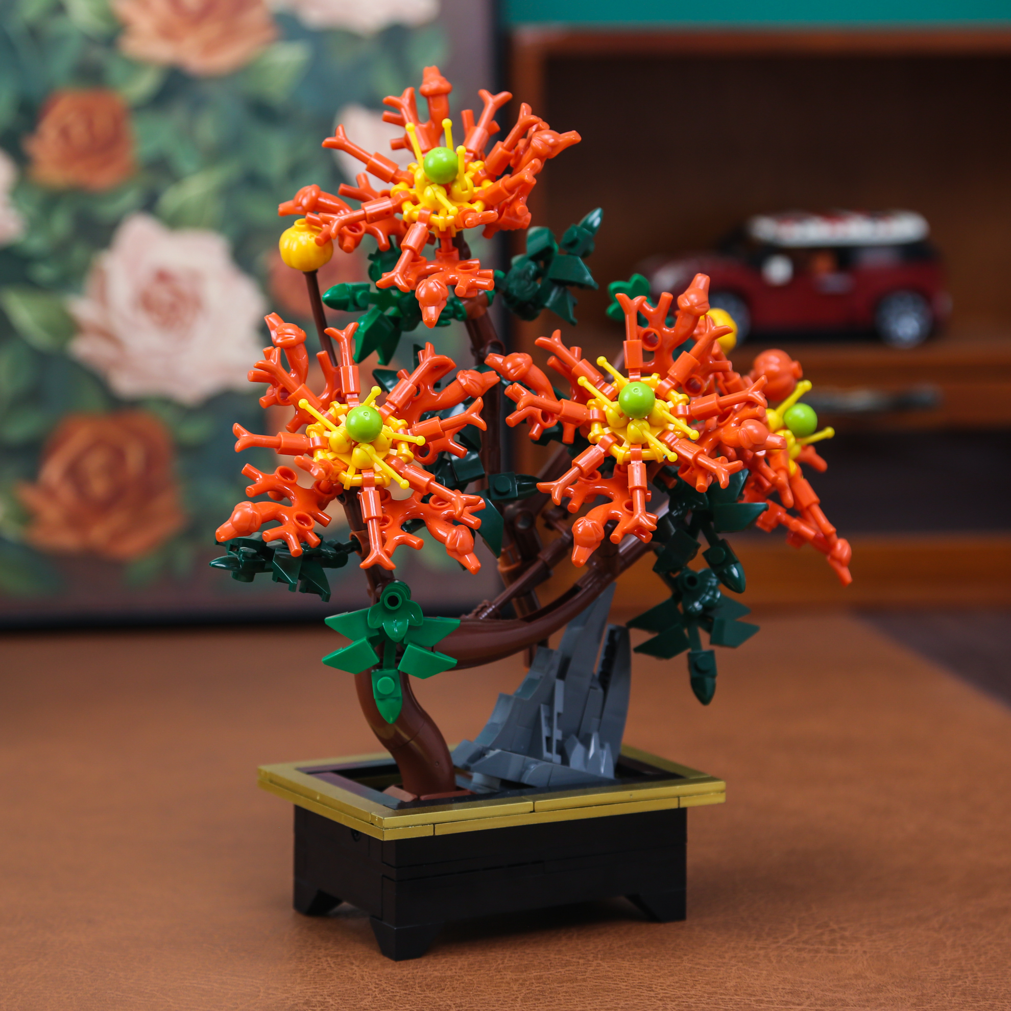 Dragon Claw Chrysanthemum Bons - Bonsai Garden Kit reseña y precio
