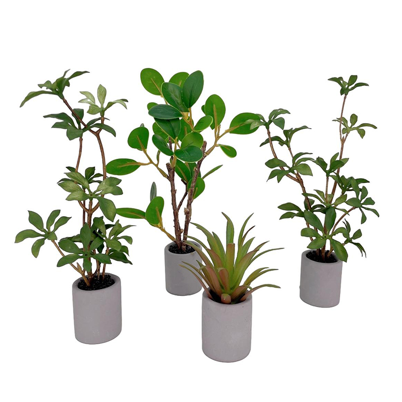 1:6 Dollhouse Miniature Potted - Bonsai Garden Kit reseña y precio