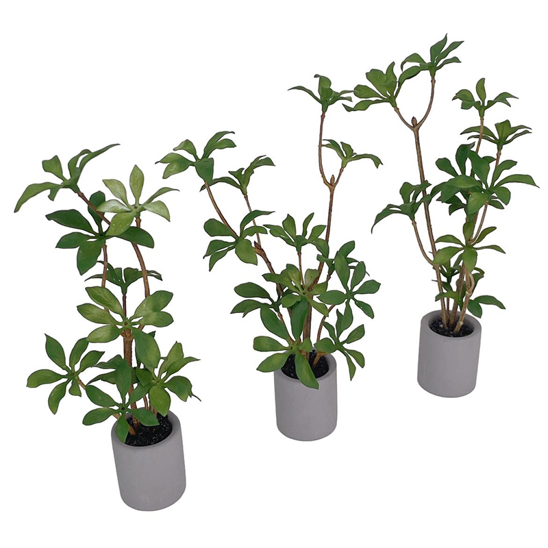 1:6 Dollhouse Miniature Potted - Bonsai Garden Kit reseña y precio