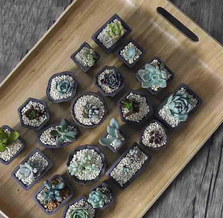 Yixing Purple Sand Flower Pot  - Bonsai Tree Zen Garden reseña y precio