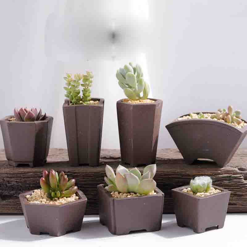 Yixing Purple Sand Flower Pot  - Bonsai Tree Zen Garden reseña y precio