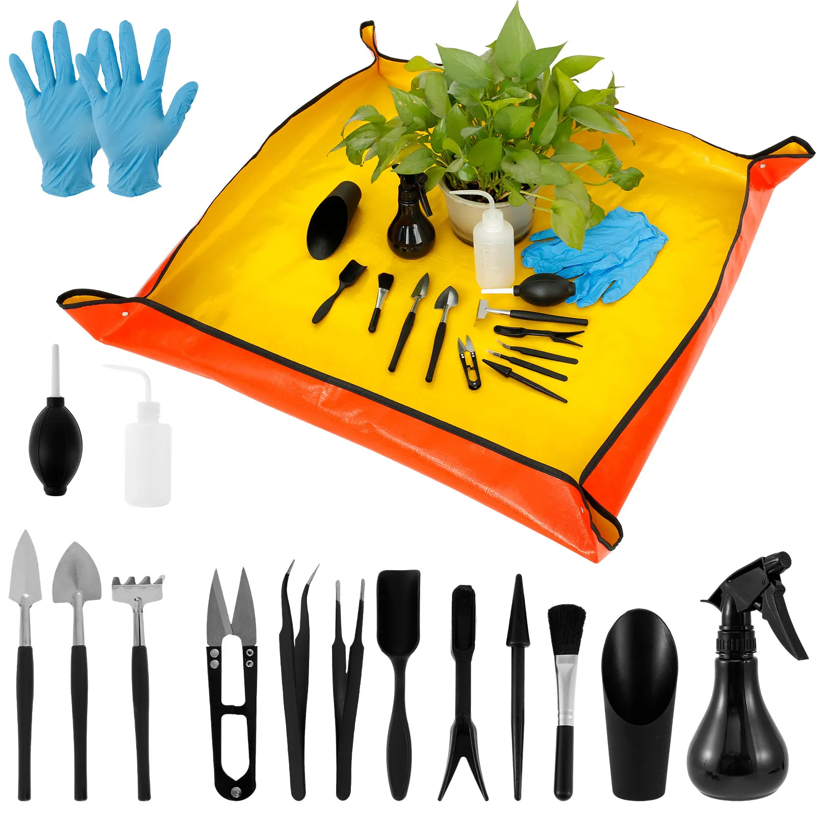 13/16Pcs Garden Succulent Plan - Bonsai Garden Kit reseña y precio