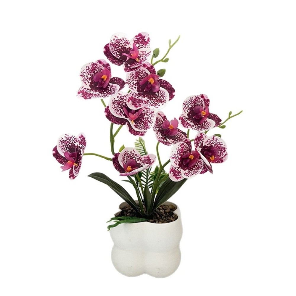 Multi-Bloom Simulated Butterfl - Bonsai Garden Kit reseña y precio