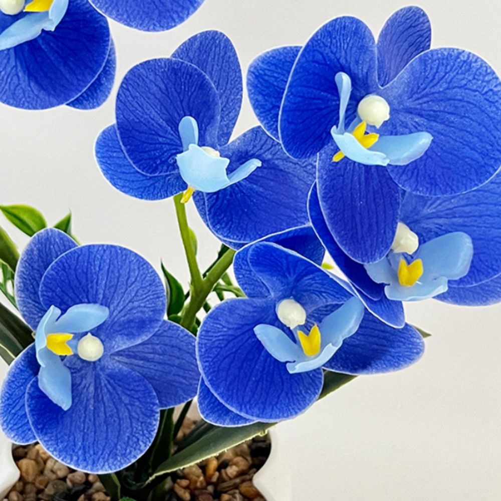 Multi-Bloom Simulated Butterfl - Bonsai Garden Kit reseña y precio