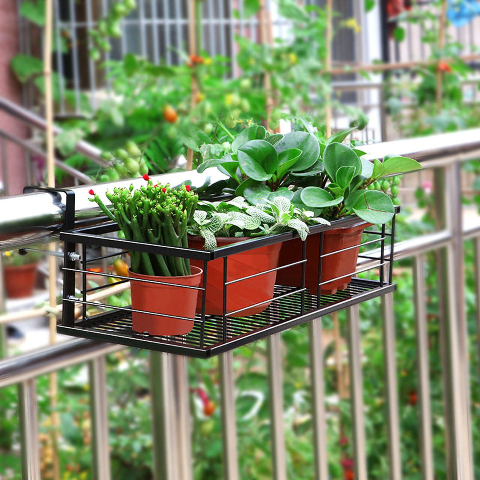 1Pcs Balcony Hanging Flower Po - Us Bonsai Garden reseña y precio
