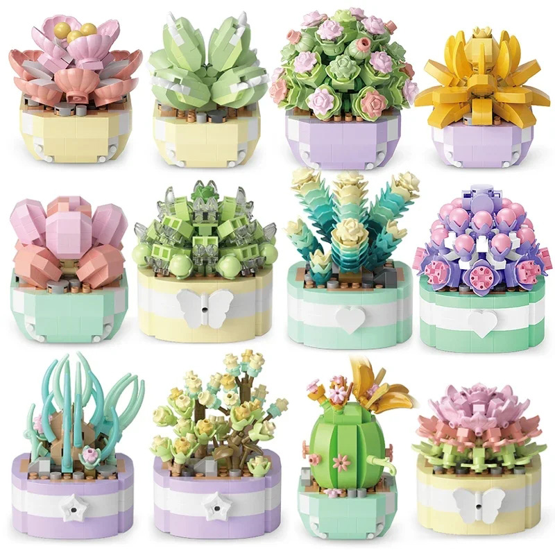 Flower Succulents Building Blo - Bonsai Garden Kit reseña y precio