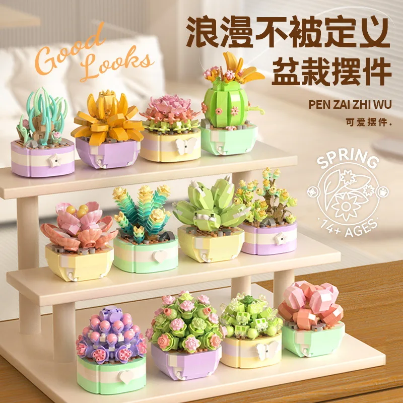 Flower Succulents Building Blo - Bonsai Garden Kit reseña y precio