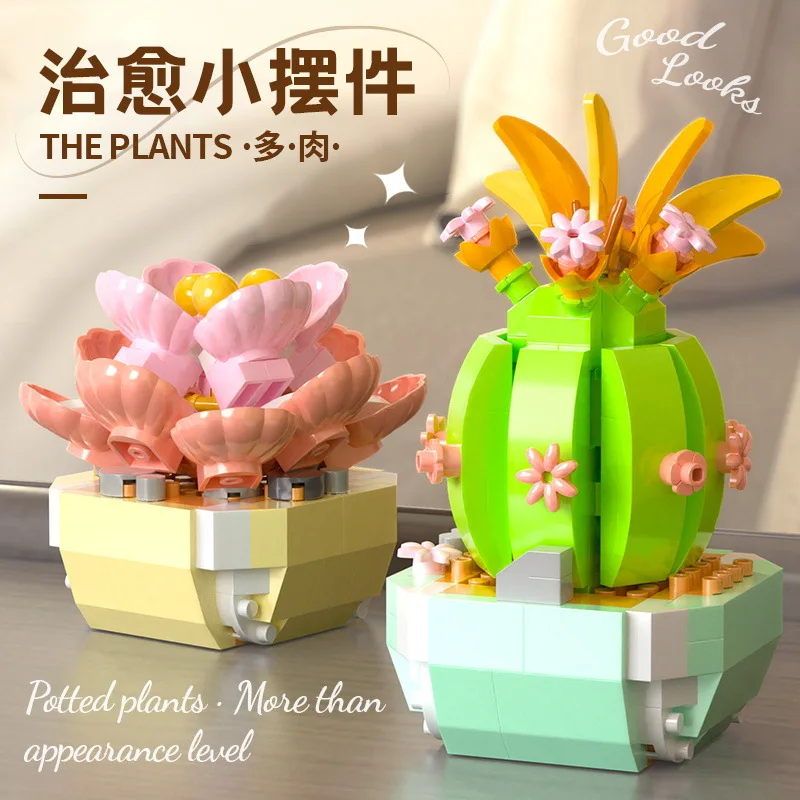 Flower Succulents Building Blo - Bonsai Garden Kit reseña y precio