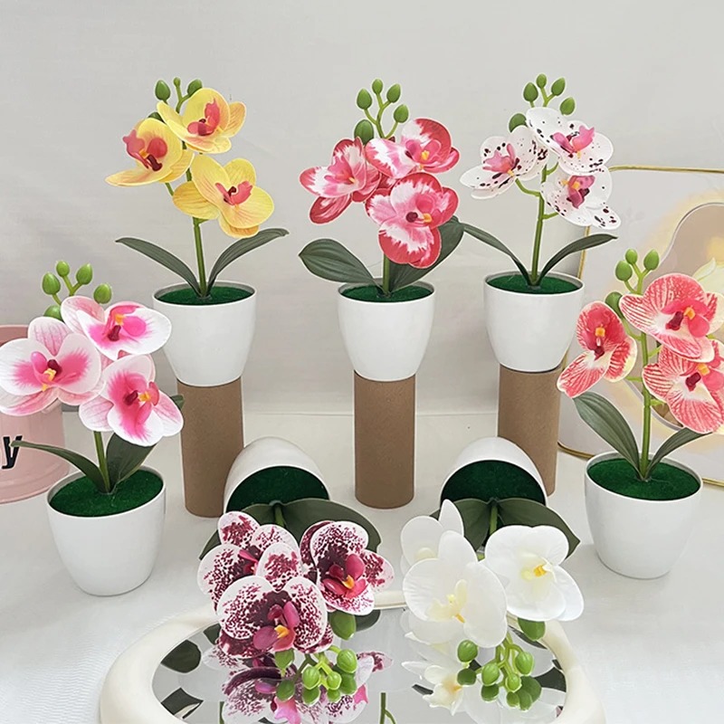 1Pcs 20CM Simulation Plants Po - Bonsai Garden Kit reseña y precio