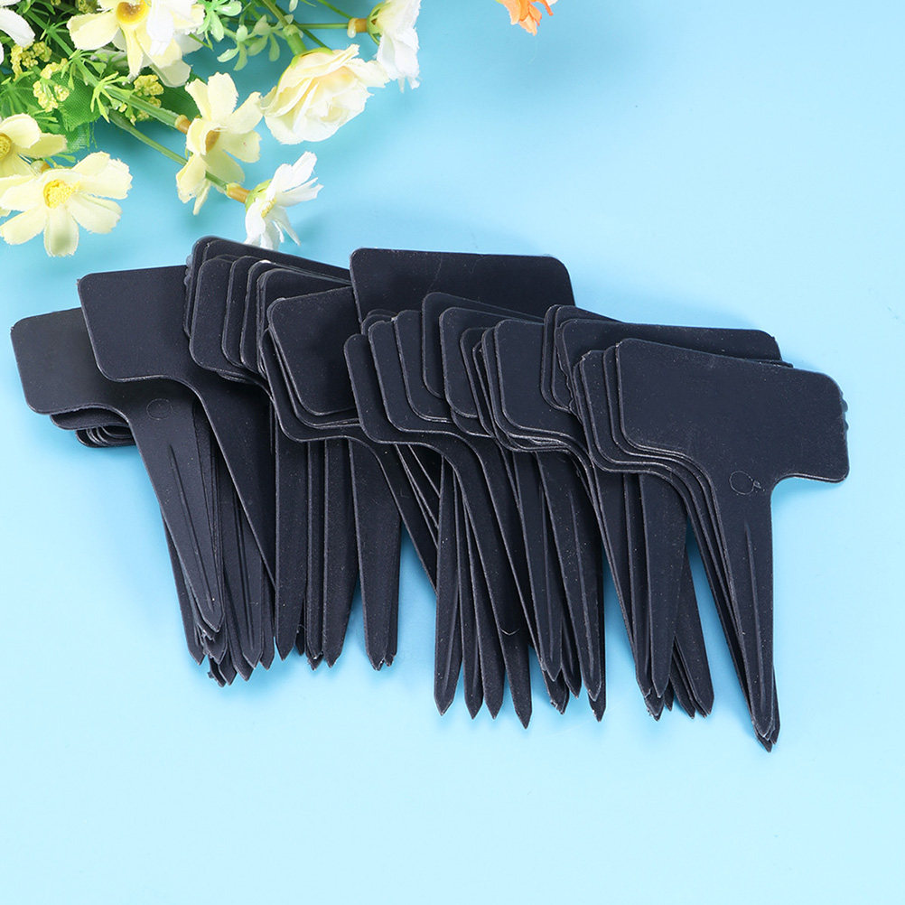 200Pcs T Shaped Plastic Plant  - Bonsai Garden Shop reseña y precio