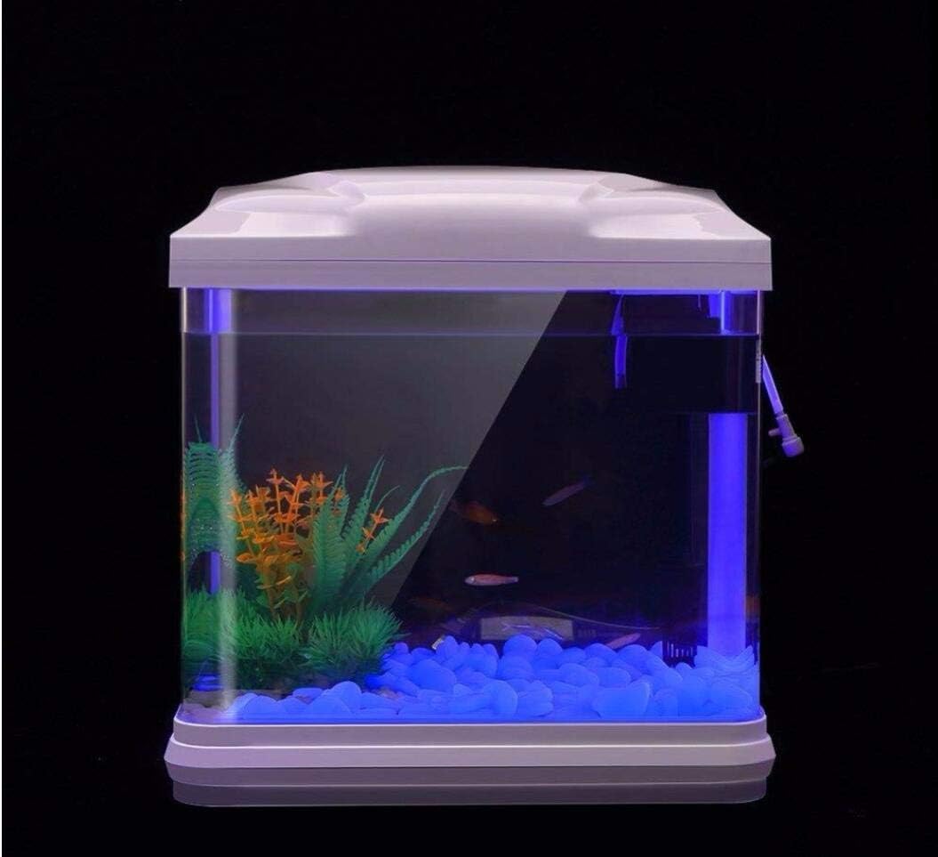 Fish Tank Rocks Glow Blue Pebb - Bonsai Garden Kit reseña y precio