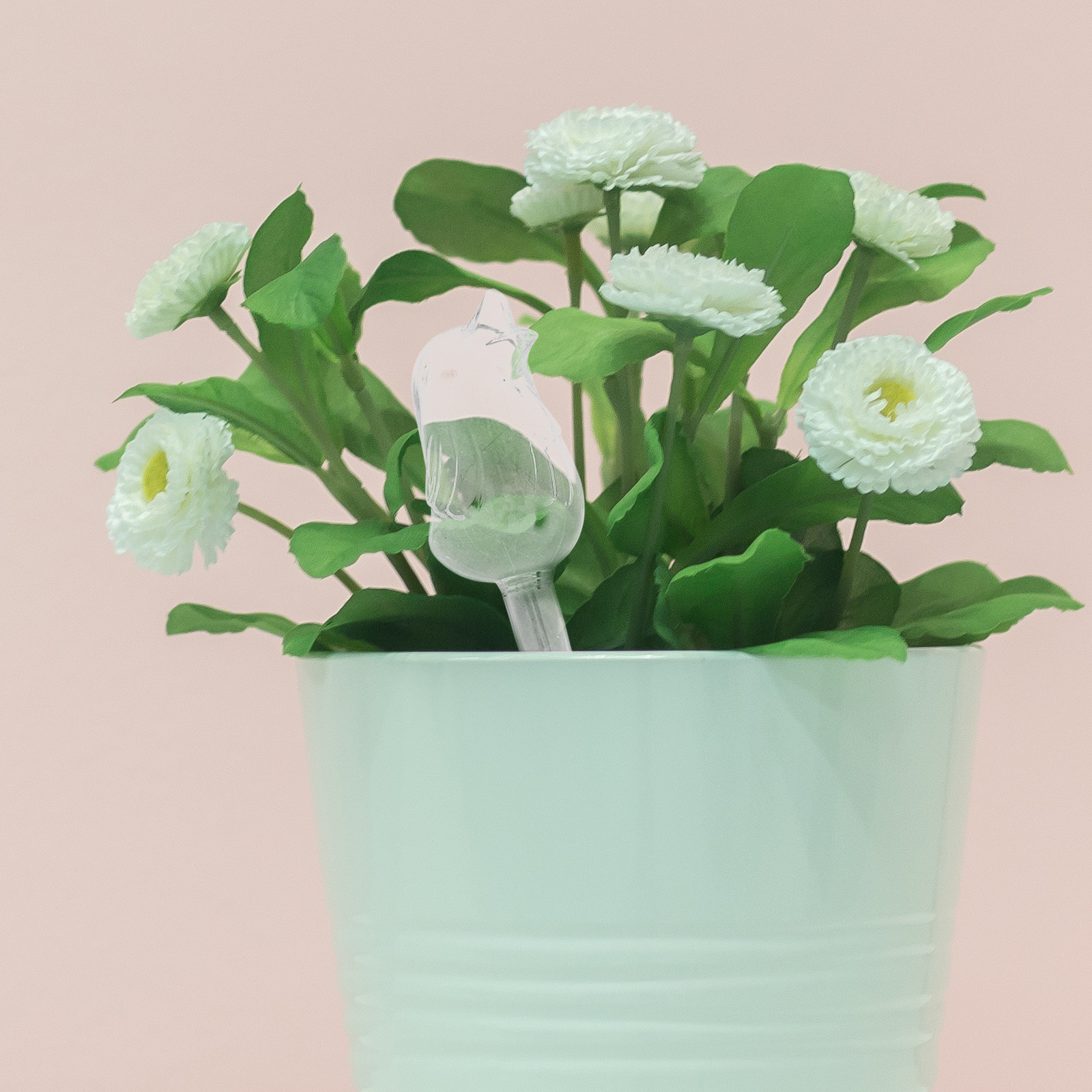 Glass Self-Watering Globes Aut - Us Bonsai Garden reseña y precio