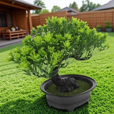 Artificial Bonsai Pine Tree Li - Bonsai Tree Zen Garden reseña y precio