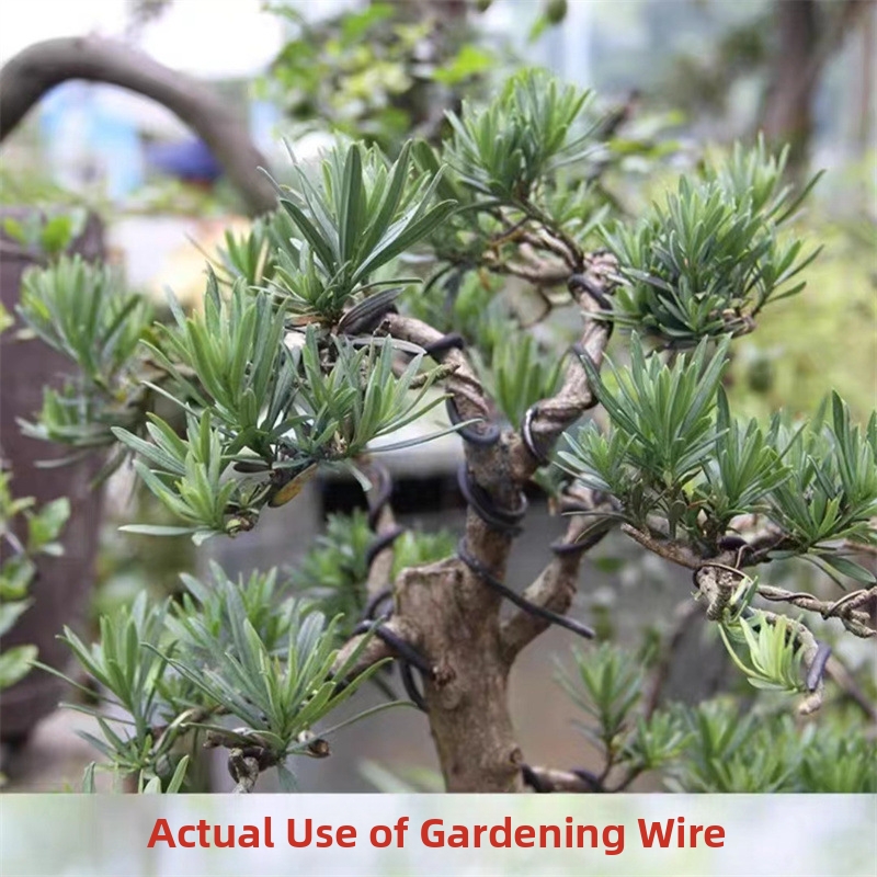 1.5MM Bonsai Wires Aluminum Bo - Us Bonsai Garden reseña y precio