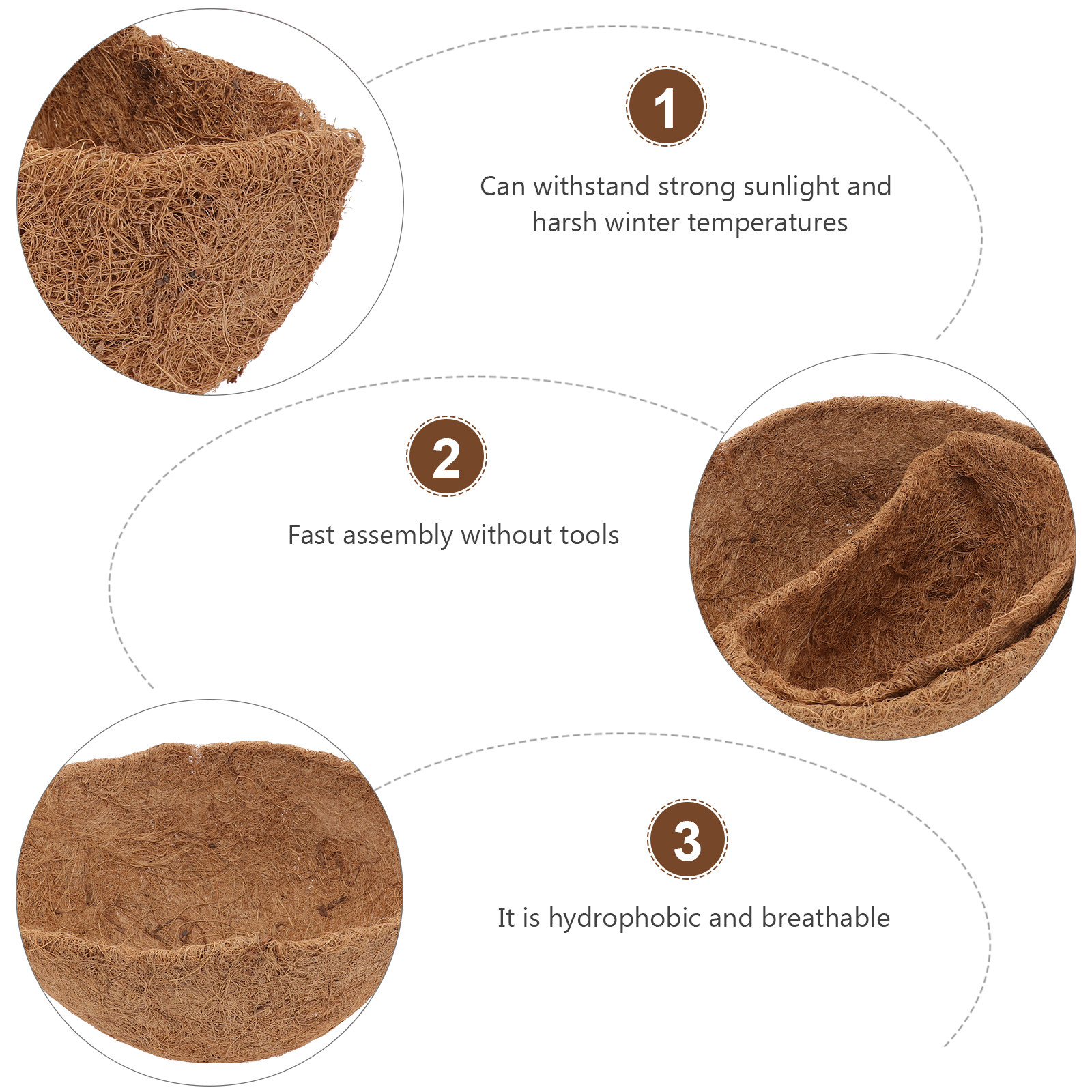 4Pcs Natural Coconut Fiber Flo - Bonsai Garden Shop reseña y precio
